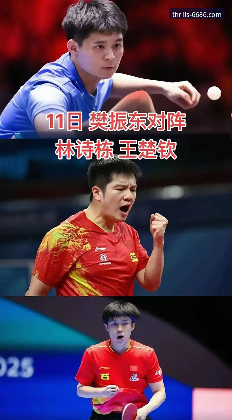 中国男乒世锦赛开门红：深度体验评测下的战术博弈与数据洞察